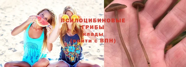 mdpv Няндома