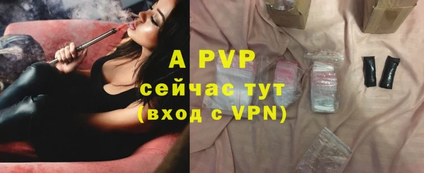гидра Богородск