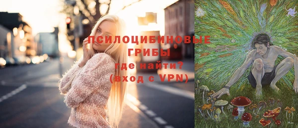 mdpv Няндома