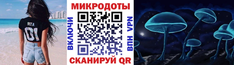 купить  сайты  Уяр  Псилоцибиновые грибы Psilocybe 